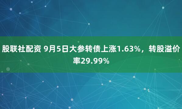 股联社配资 9月5日大参转债上涨1.63%，转股溢价率29.99%