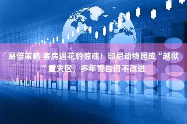 易倍策略 客房遇花豹惊魂！印尼动物园成“越狱”重灾区，多年警告仍不改进